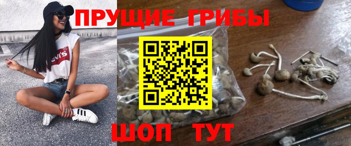 Галлюциногенные грибы прущие грибы Глазов